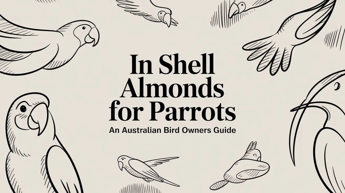 In-Shell Almonds For Parrots: An Australian Bird Owner's Guide Lou Lou Bells Bird Toys
