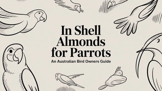 In-Shell Almonds For Parrots: An Australian Bird Owner's Guide Lou Lou Bells Bird Toys