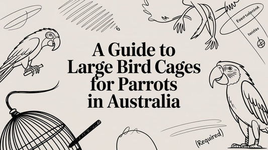 A Guide to Large Bird Cages for Parrots in Australia