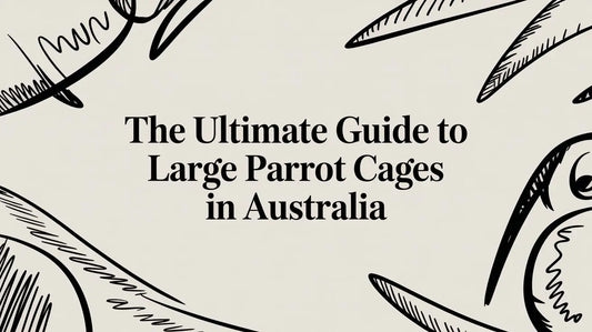 The Ultimate Guide to Large Parrot Cages in Australia Lou Lou Bells Bird Toys