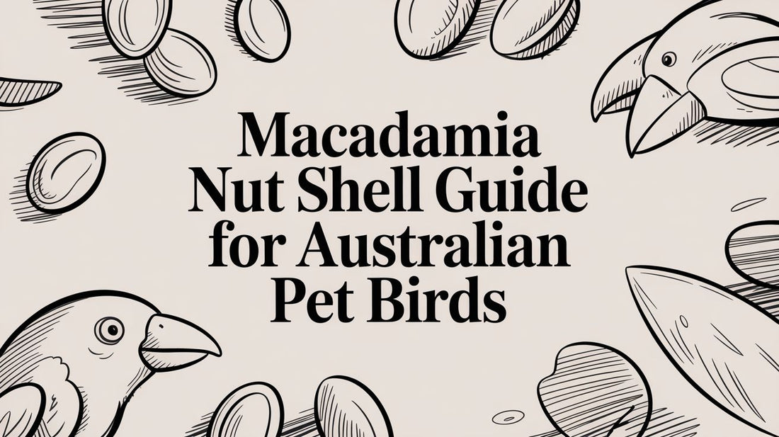 Macadamia Nut Shell Guide for Australian Pet Birds Lou Lou Bells Bird Toys