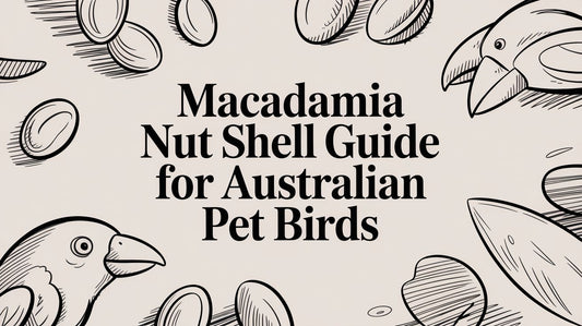 Macadamia Nut Shell Guide for Australian Pet Birds Lou Lou Bells Bird Toys