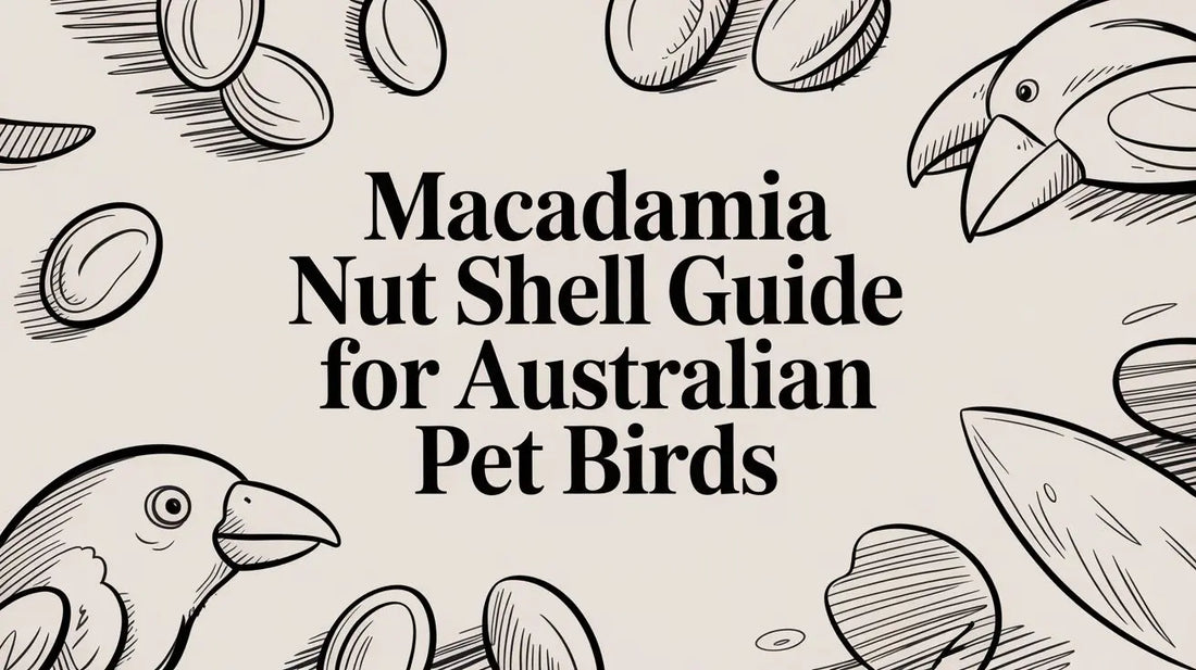 Macadamia Nut Shell Guide for Australian Pet Birds Lou Lou Bells Bird Toys