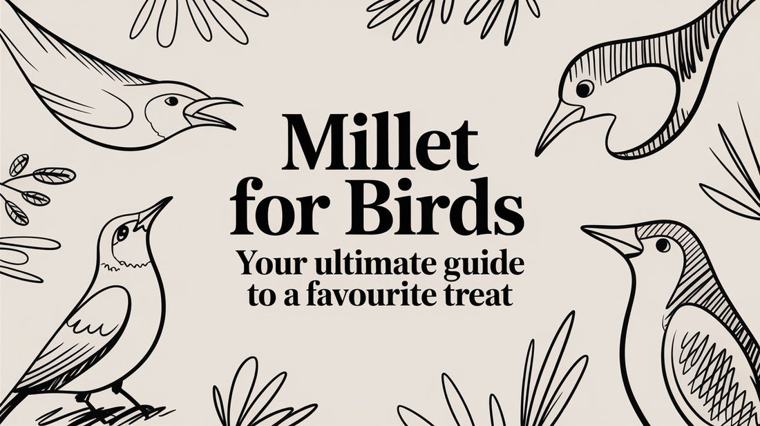 Millet for Birds: Your Ultimate Guide to a Favourite Treat