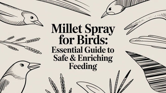 Millet Spray for Birds: A Guide to Safe & Enriching Feeding Lou Lou Bells Bird Toys