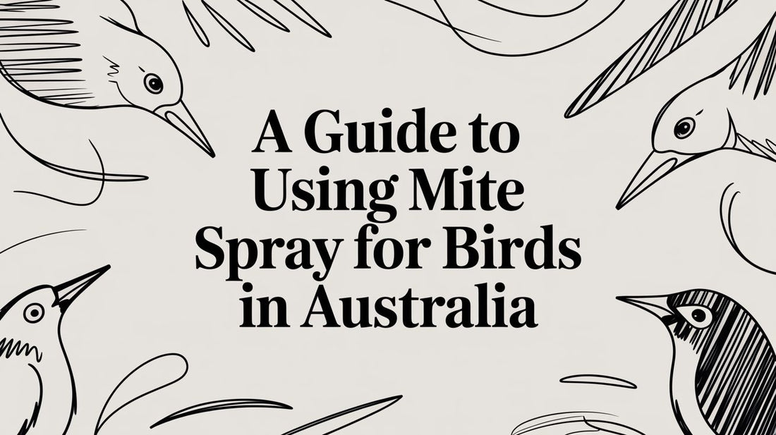 A Guide to Using Mite Spray for Birds in Australia