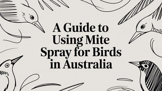 A Guide to Using Mite Spray for Birds in Australia