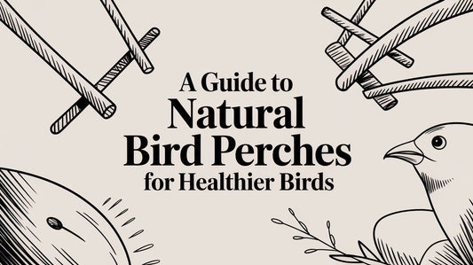 A Guide to Natural Bird Perches for Healthier Birds