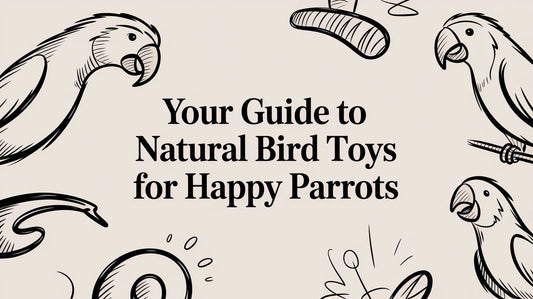 Your Guide to Natural Bird Toys for Happy Parrots Lou Lou Bells Bird Toys