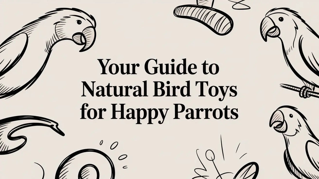 Your Guide to Natural Bird Toys for Happy Parrots Lou Lou Bells Bird Toys