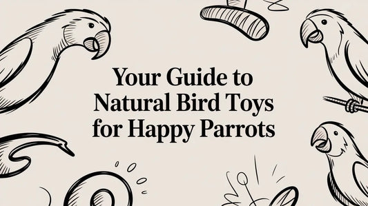 Your Guide to Natural Bird Toys for Happy Parrots Lou Lou Bells Bird Toys