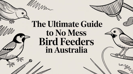 The Ultimate Guide to No Mess Bird Feeders in Australia