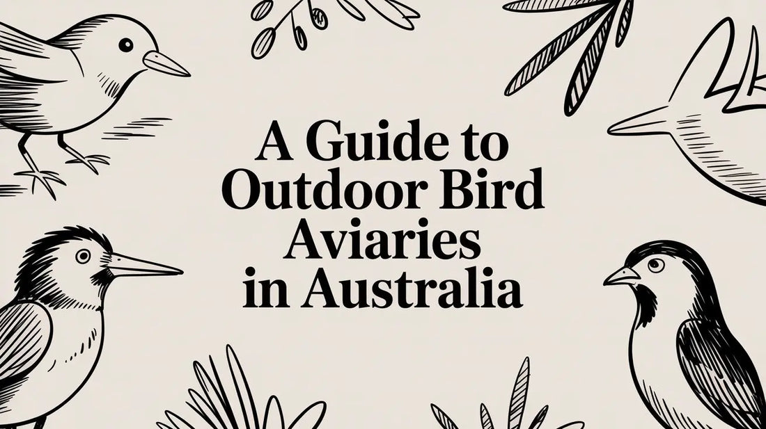 A Guide to Outdoor Bird Aviaries in Australia Lou Lou Bells Bird Toys