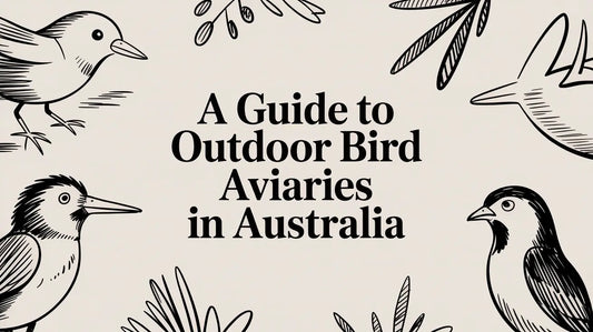 A Guide to Outdoor Bird Aviaries in Australia Lou Lou Bells Bird Toys