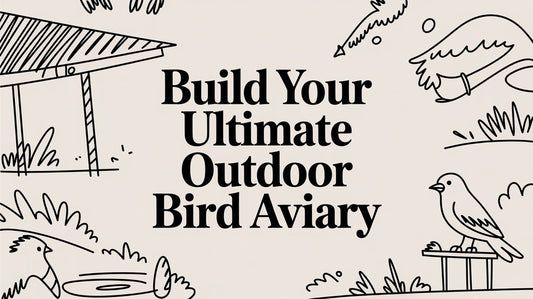 Build Your Ultimate Outdoor Bird Aviary