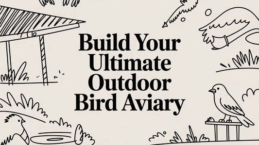 Build Your Ultimate Outdoor Bird Aviary Lou Lou Bells Bird Toys