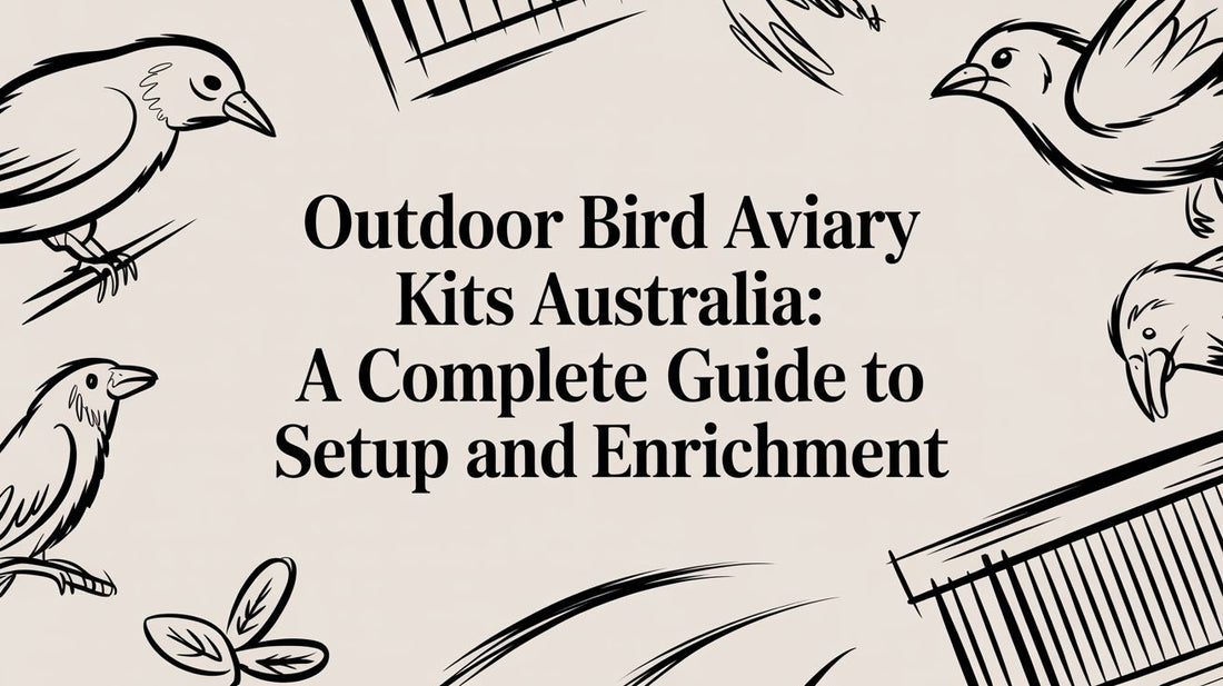 Outdoor Bird Aviary Kits Australia: A Complete Guide to Setup and Enrichment Lou Lou Bells Bird Toys