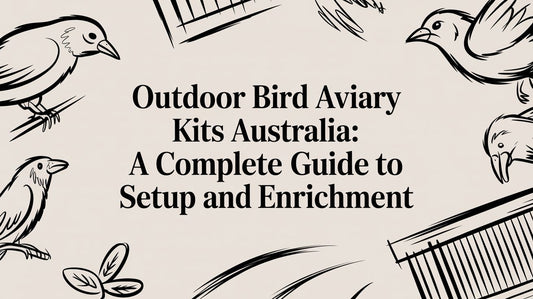 Outdoor Bird Aviary Kits Australia: A Complete Guide to Setup and Enrichment Lou Lou Bells Bird Toys
