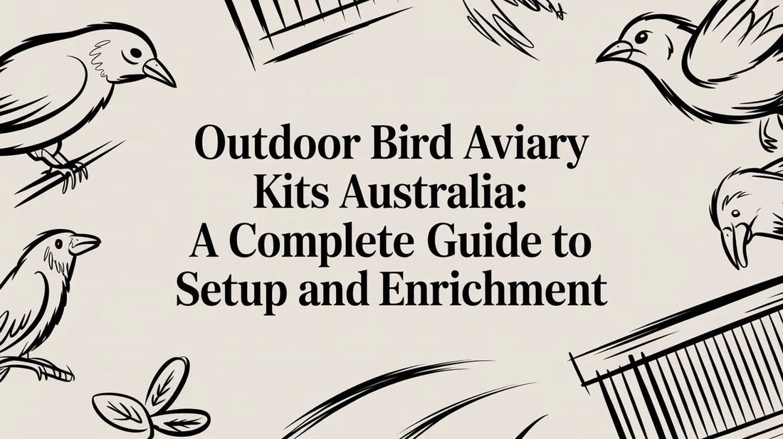 Outdoor Bird Aviary Kits Australia: A Complete Guide to Setup and Enrichment Lou Lou Bells Bird Toys