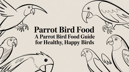 Parrot Bird Food: A Guide for Healthy, Happy Birds