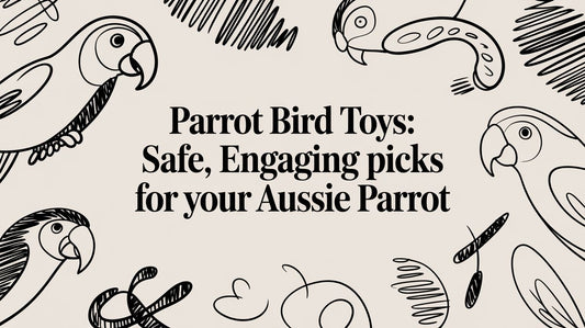 Parrot Bird Toys: Safe, Engaging Picks for Your Aussie Parrot