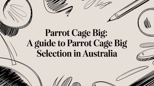 Parrot Cage Big: A Guide to Selecting the Right Large Cage in Australia Lou Lou Bells Bird Toys