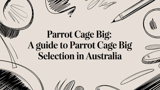 Parrot Cage Big: A Guide to Selecting the Right Large Cage in Australia Lou Lou Bells Bird Toys