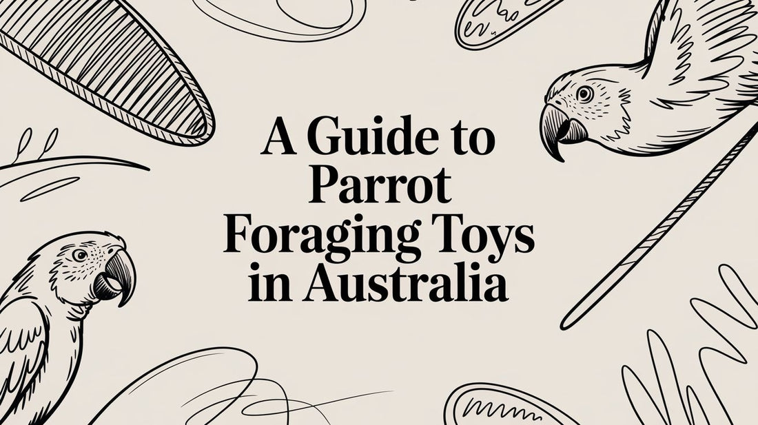A Guide to Parrot Foraging Toys in Australia