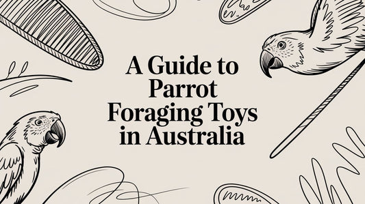 A Guide to Parrot Foraging Toys in Australia