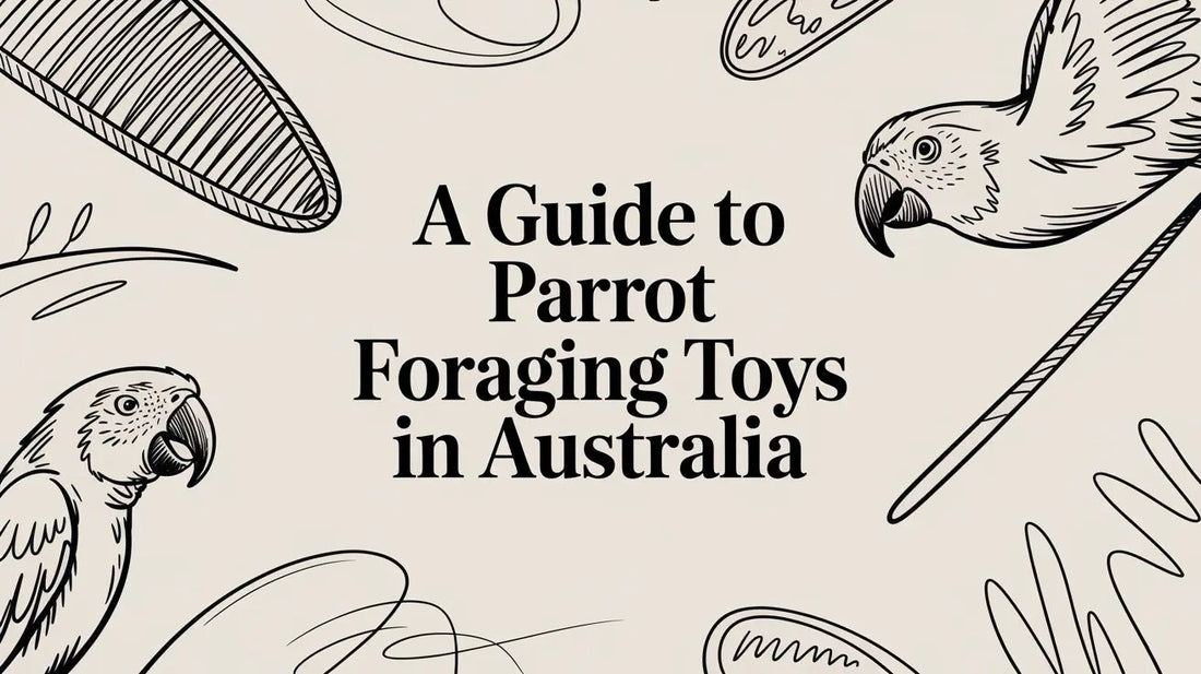 A Guide to Parrot Foraging Toys in Australia Lou Lou Bells Bird Toys