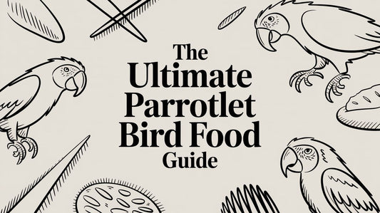 The Ultimate Guide to Parrotlet Bird Food