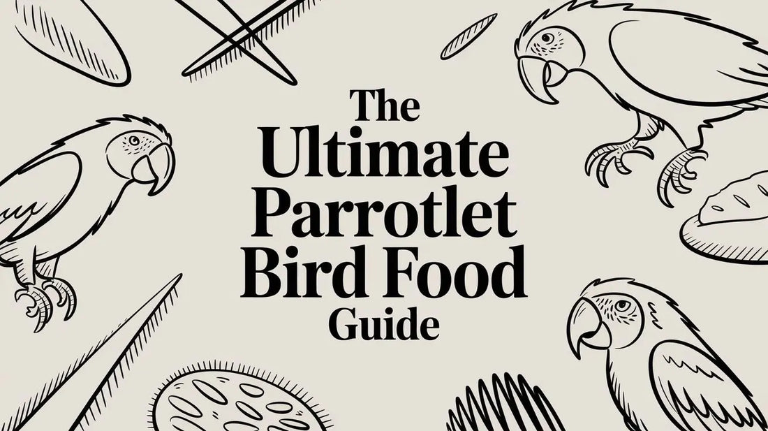 The Ultimate Guide to Parrotlet Bird Food Lou Lou Bells Bird Toys