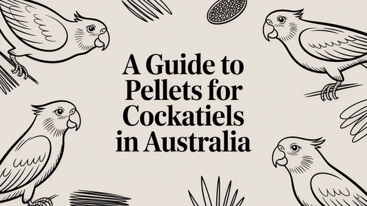 A Guide to Pellets for Cockatiels in Australia