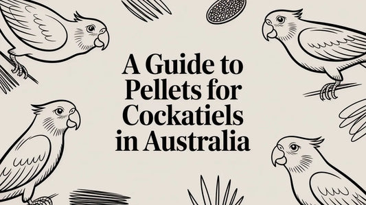 A Guide to Pellets for Cockatiels in Australia Lou Lou Bells Bird Toys