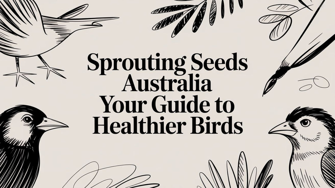 Sprouting Seeds Australia Your Guide to Healthier Birds Lou Lou Bells Bird Toys