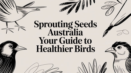 Sprouting Seeds Australia Your Guide to Healthier Birds Lou Lou Bells Bird Toys