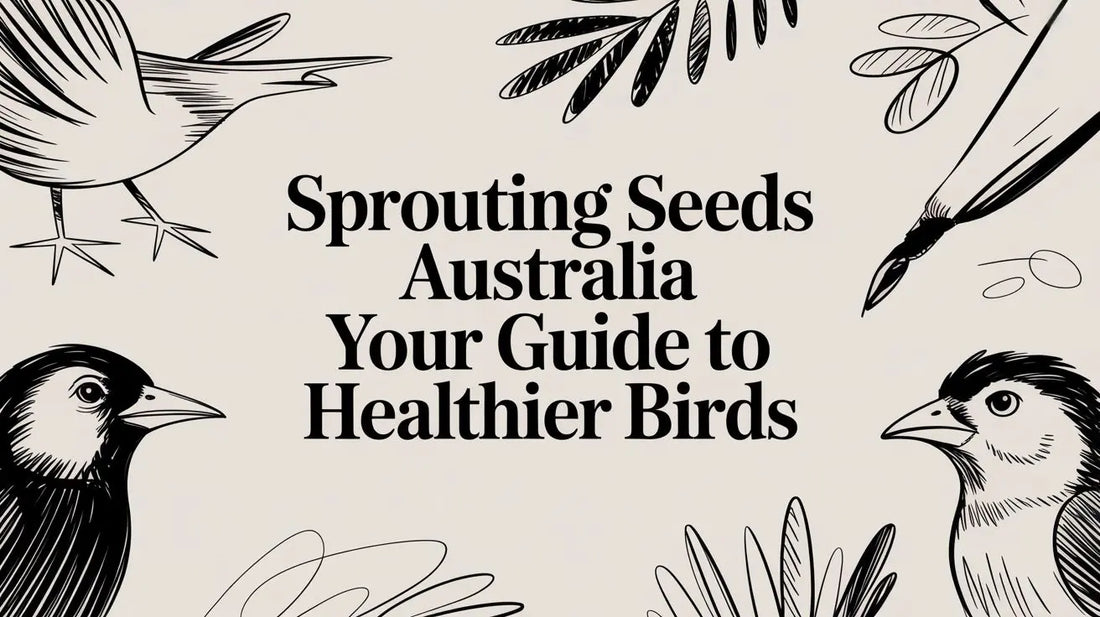 Sprouting Seeds Australia Your Guide to Healthier Birds Lou Lou Bells Bird Toys
