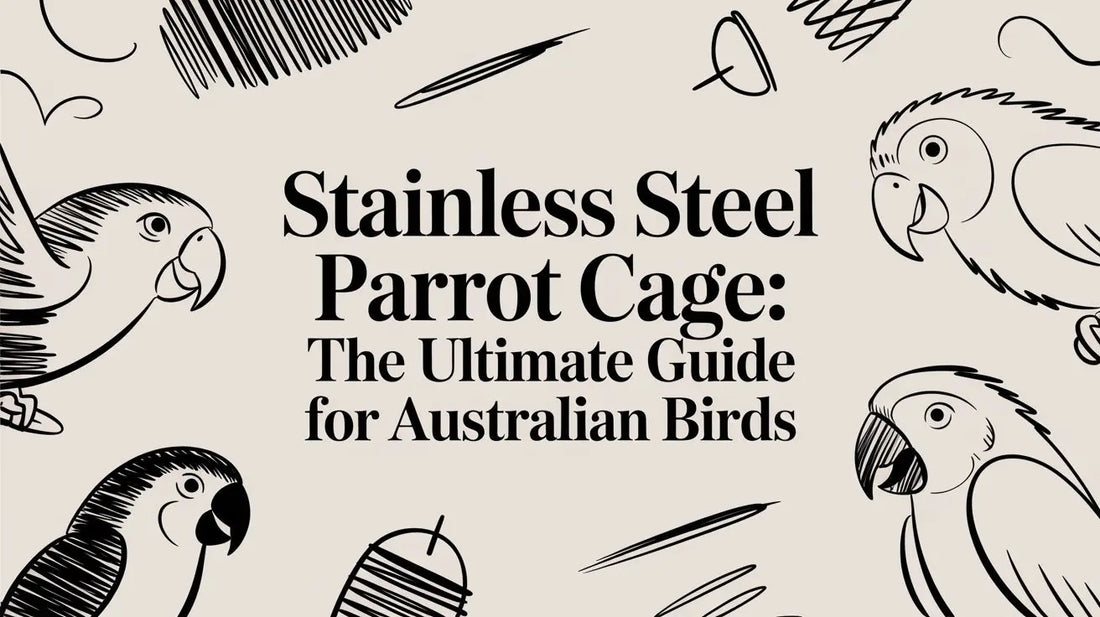 Stainless Steel Parrot Cage: The Ultimate Guide for Australian Birds Lou Lou Bells Bird Toys