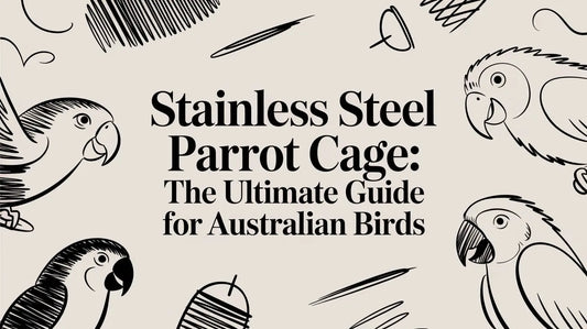 Stainless Steel Parrot Cage: The Ultimate Guide for Australian Birds Lou Lou Bells Bird Toys