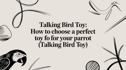 Talking Bird Toy: How to Choose a Perfect Toy for Your Parrot