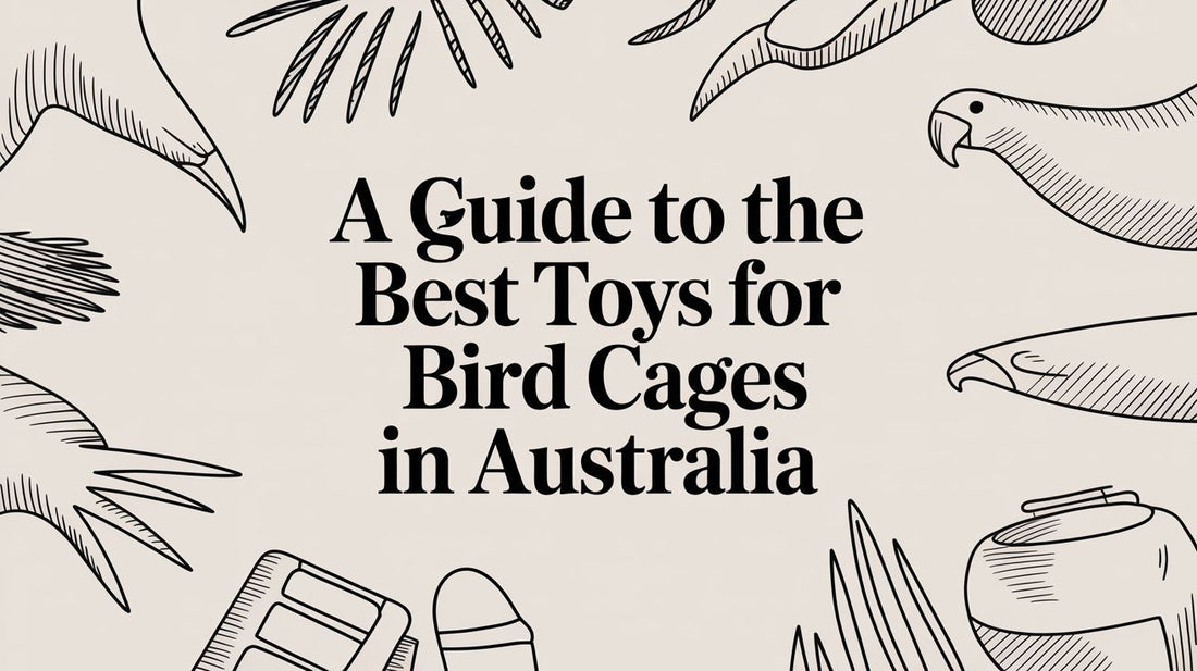 A Guide to the Best Toys for Bird Cages in Australia