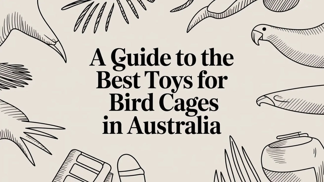 A Guide to the Best Toys for Bird Cages in Australia Lou Lou Bells Bird Toys