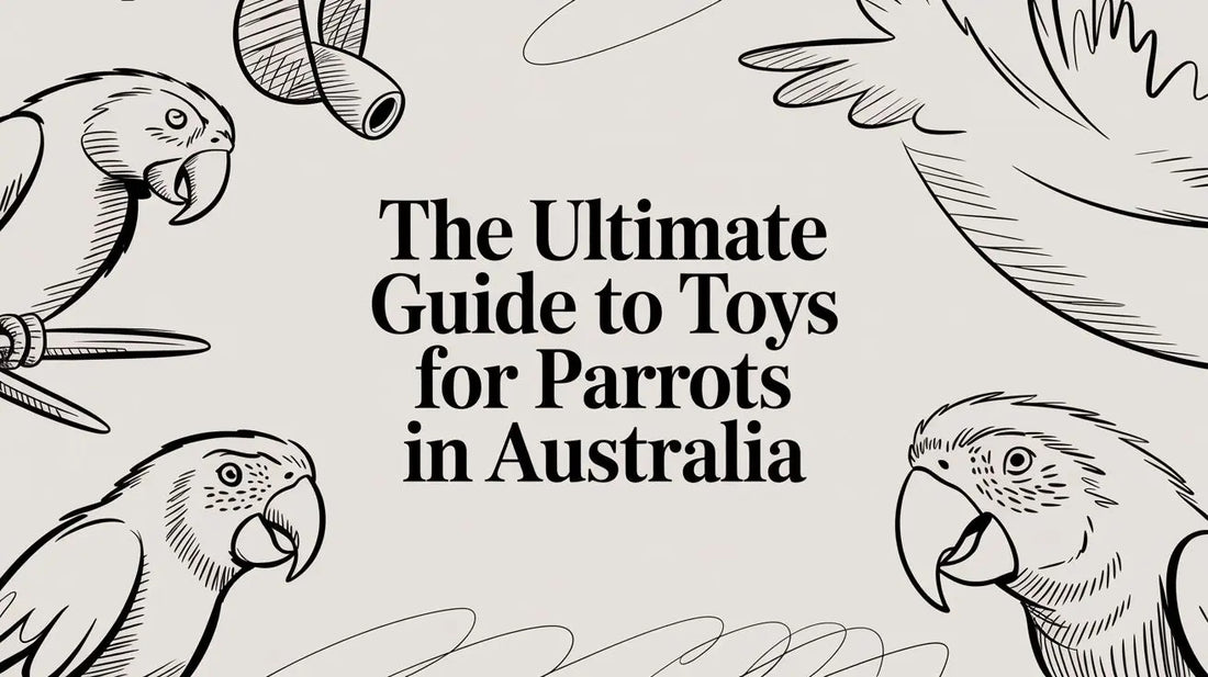 The Ultimate Guide to Toys for Parrots in Australia Lou Lou Bells Bird Toys