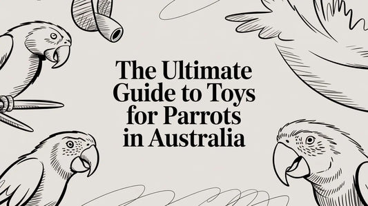 The Ultimate Guide to Toys for Parrots in Australia Lou Lou Bells Bird Toys