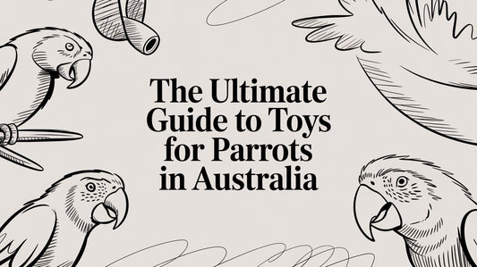 The Ultimate Guide to Toys for Parrots in Australia