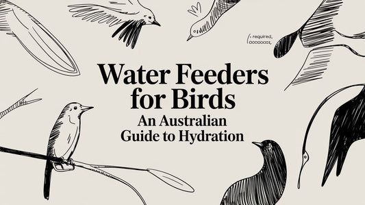 Water Feeders for Birds: An Australian Guide to Hydration Lou Lou Bells Bird Toys