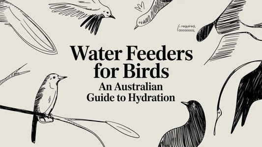 Water Feeders for Birds: An Australian Guide to Hydration Lou Lou Bells Bird Toys