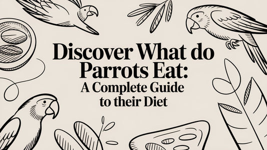Discover what do parrots eat: A complete guide to their diet