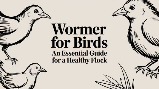 Wormer for Birds An Essential Guide for a Healthy Flock Lou Lou Bells Bird Toys