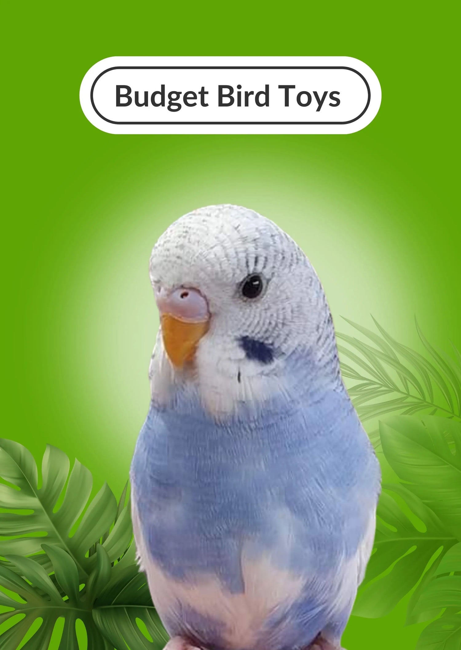 Budget Bird Toys Lou Lou Bells Bird Toys